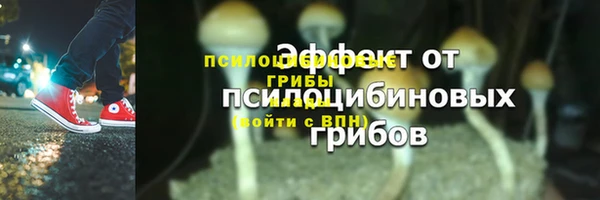 ГАЛЛЮЦИНОГЕННЫЕ ГРИБЫ Верхний Тагил