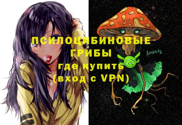 ГАЛЛЮЦИНОГЕННЫЕ ГРИБЫ Верхний Тагил